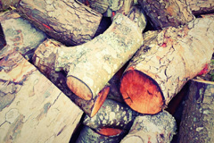 Borgh wood burning boiler costs